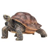Toy School Giant Tortoise